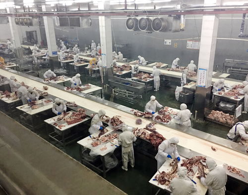 重庆农商行 强化银电合作，以电力大数据赋能企业复工复产——市场调研分析